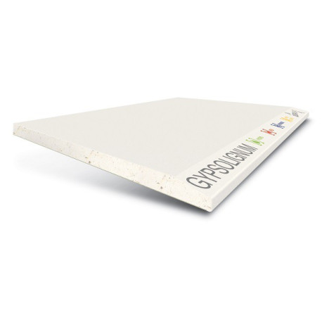 PLAQUE de PLATRE GYPSOLIGNUM en 13 mm d'épaisseur VENDU à la PLAQUE