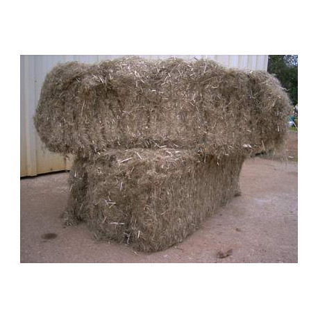 LAINE de CHANVRE en VRAC / VENDU à la BOTTE