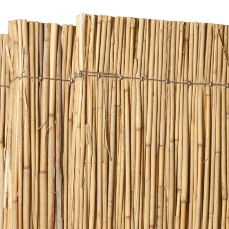 PANNEAUX de ROSEAUX à TIGES COURTES