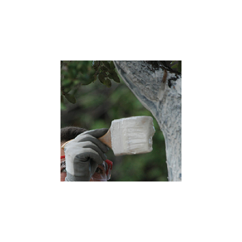 BLANC ARBORICOLE en 5 Litres – Image 2