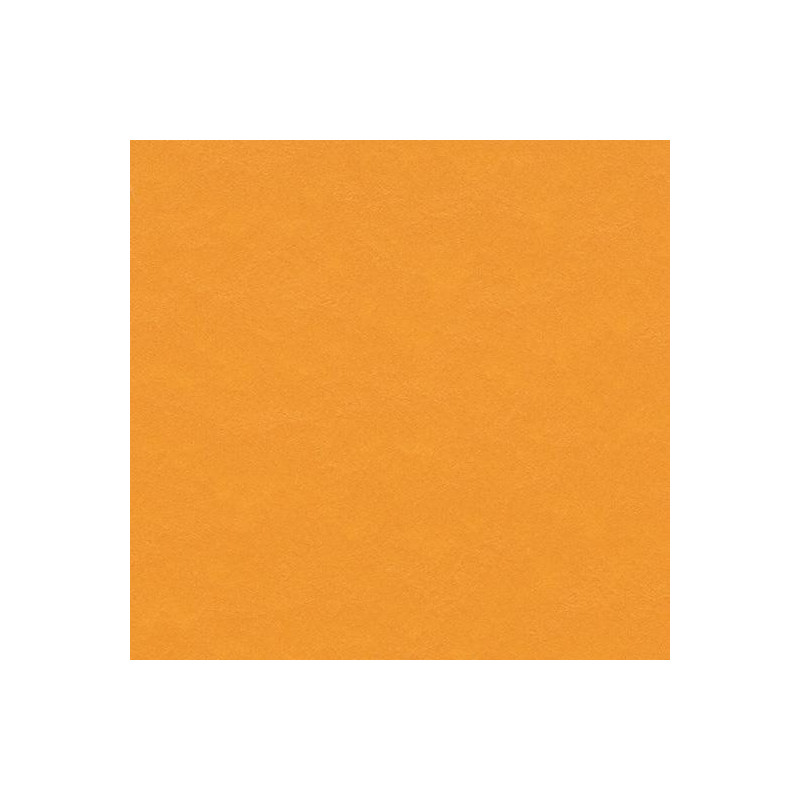 ECHANTILLON de MARMOLEUM MODAL – Image 54