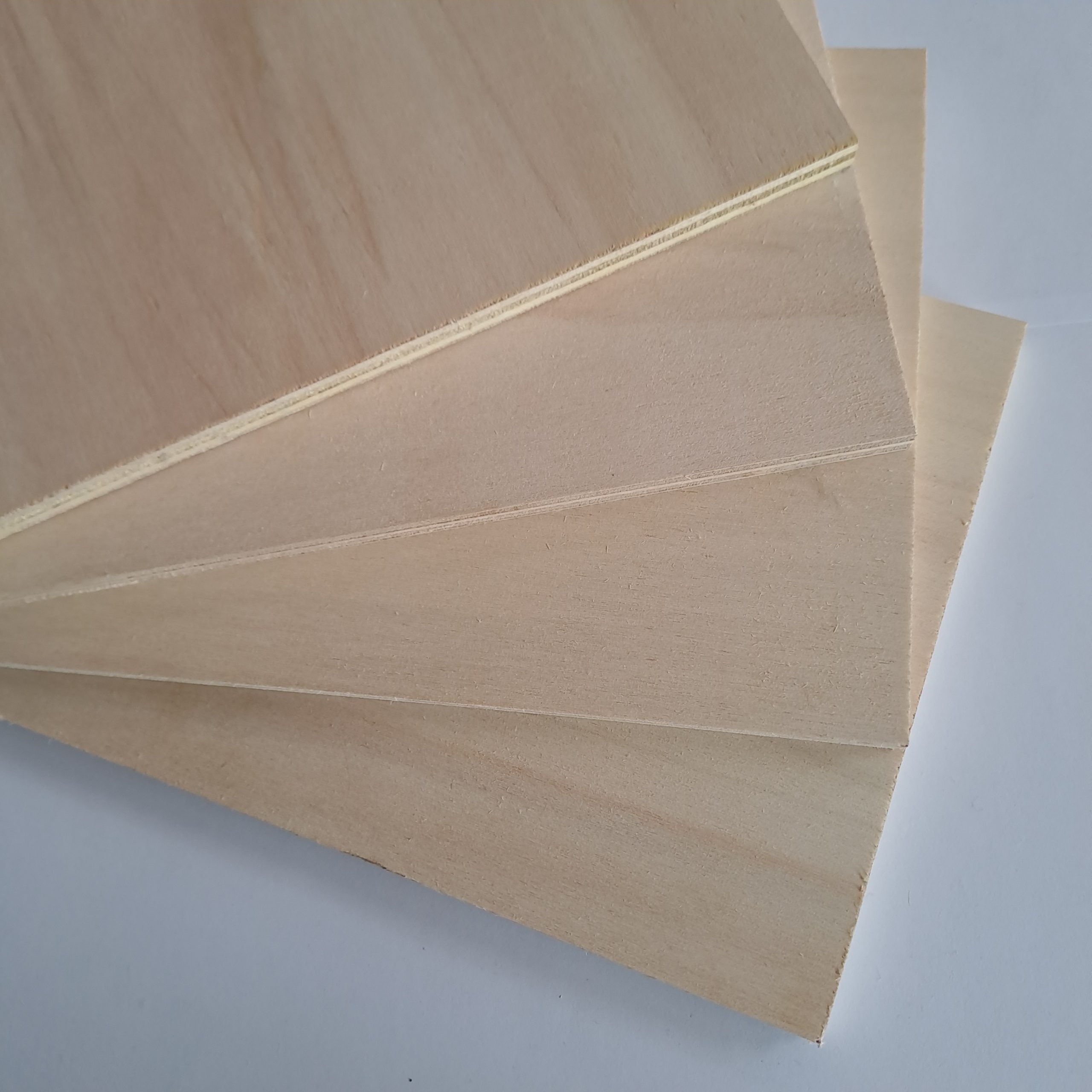 PANNEAU de CONTREPLAQUE en PEUPLIER avec une COLLE BIO-SOURCES en BORDS DROITS / Dim : 2,50 m x 1,22 m VENDU à la PLAQUE – Image 2