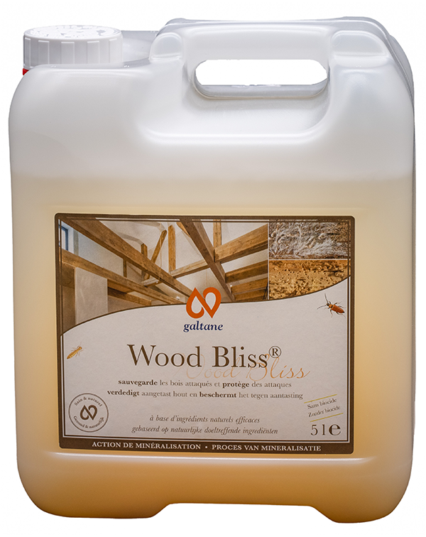 WOOD BLISS® Dilué – Image 2